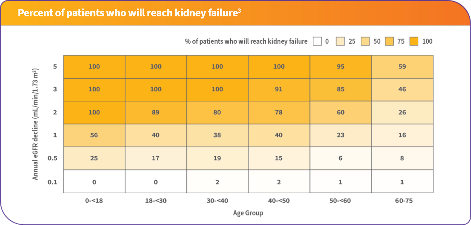 Chart displaying the percent of patients who will reach kidney failure by Annual eGFR and Age