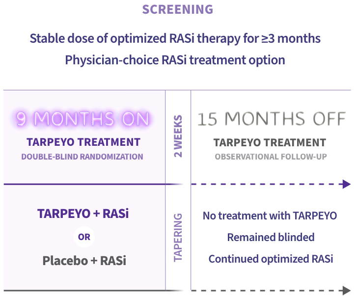 This diagram outlines the study design. The study includes a screening phase, 9 months on TARPEYO treatment, and a 15-month observational follow-up off TARPEYO treatment. During screening, patients receive optimized RASi therapy for at least 3 months. Patients are then randomized into two groups: TARPEYO + RASi (purple arrow) or RASi + placebo (grey arrow) for 9 months. Following treatment, there is a 15-month follow-up where patients receive no TARPEYO treatment but continue optimized RASi therapy.