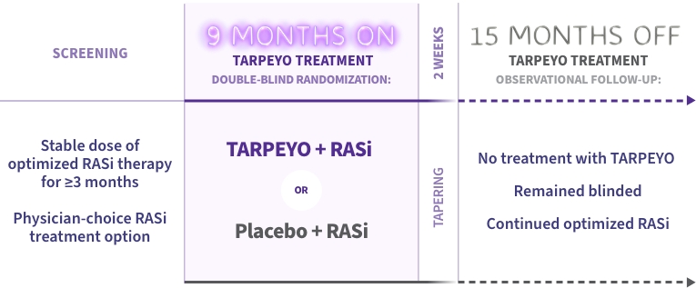 This diagram outlines the study design. The study includes a screening phase, 9 months on TARPEYO treatment, and a 15-month observational follow-up off TARPEYO treatment. During screening, patients receive optimized RASi therapy for at least 3 months. Patients are then randomized into two groups: TARPEYO + RASi (purple arrow) or RASi + placebo (grey arrow) for 9 months. Following treatment, there is a 15-month follow-up where patients receive no TARPEYO treatment but continue optimized RASi therapy.