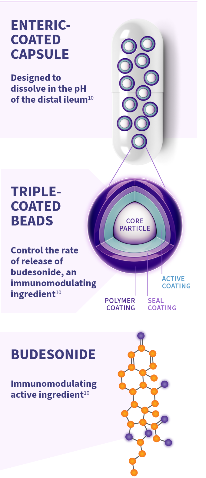 A graphic illustrating the proprietary TARPEYO technology and its components: On the left, it shows the immunomodulating active ingredient, Budesonide, with its molecular structure depicted. In the center, it highlights the triple-coated beads designed to help control the rate of release. On the right, it shows the enteric coat for delayed release, with an illustration of a capsule containing these beads (4 mg per capsule).