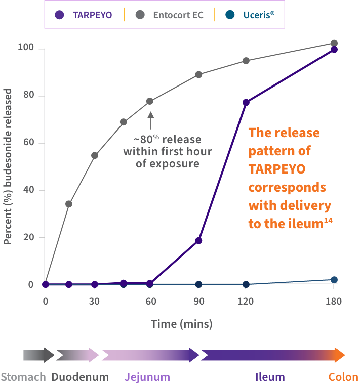 Graph showing dissolution rates of TARPEYO, Entocort, and Uceris over 180 minutes. TARPEYO shows delayed release, reaching ~80% at 180 minutes, compared to faster release in Entocort and Uceris.