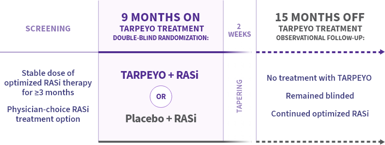 This diagram outlines the study design. The study includes a screening phase, 9 months on TARPEYO treatment, and a 15-month observational follow-up off TARPEYO treatment. During screening, patients receive optimized RASi therapy for at least 3 months. Patients are then randomized into two groups: TARPEYO + RASi (purple arrow) or RASi + placebo (grey arrow) for 9 months. Following treatment, there is a 15-month follow-up where patients receive no TARPEYO treatment but continue optimized RASi therapy.