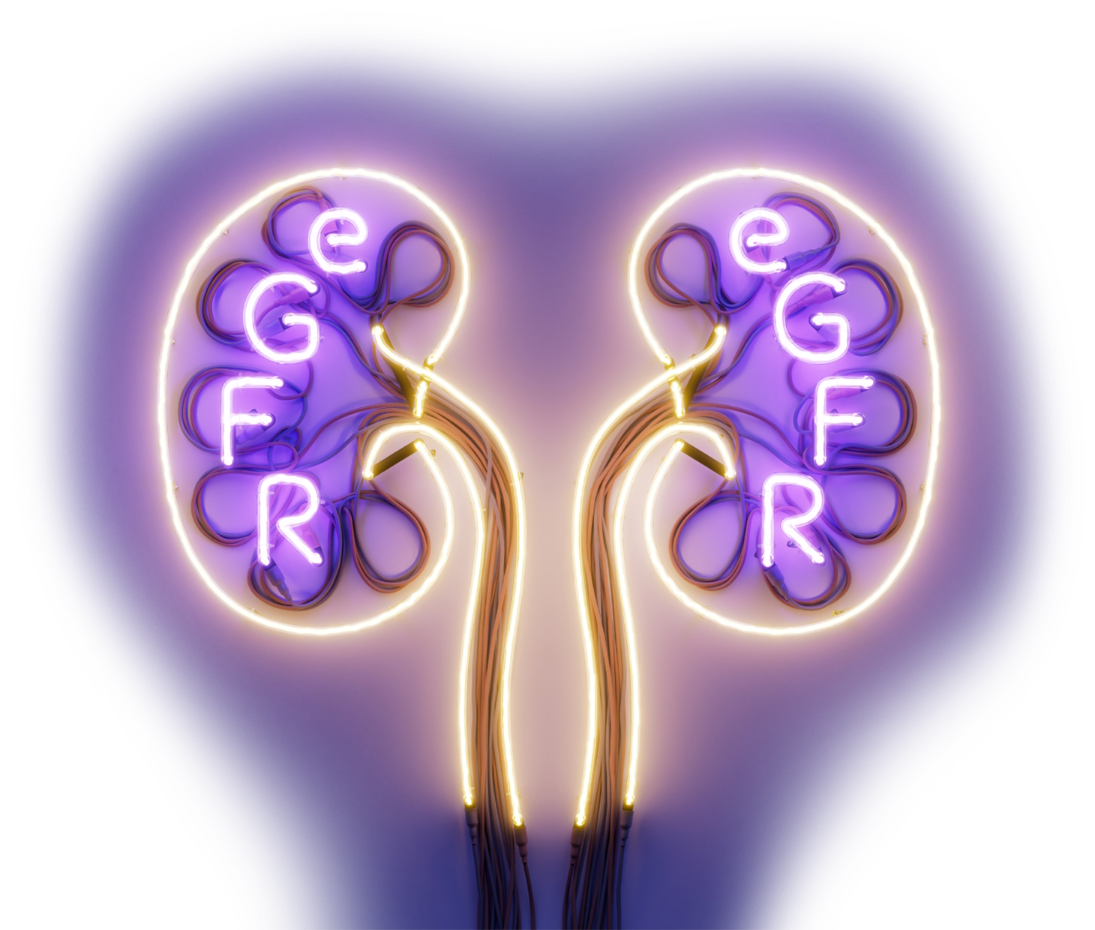 Image shows a stylized representation of two kidneys. Each kidney has the letters "eGFR" displayed within, with a glowing effect highlighting the importance of estimated glomerular filtration rate (eGFR) in kidney function. The background is purple, enhancing the focus on the kidneys and the eGFR lettering.