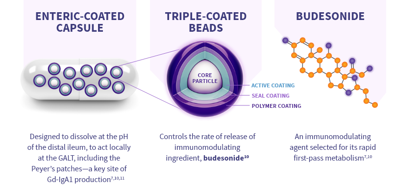 A graphic illustrating the proprietary TARPEYO technology and its components: On the left, it shows the immunomodulating active ingredient, Budesonide, with its molecular structure depicted. In the center, it highlights the triple-coated beads designed to help control the rate of release. On the right, it shows the enteric coat for delayed release, with an illustration of a capsule containing these beads (4 mg per capsule).