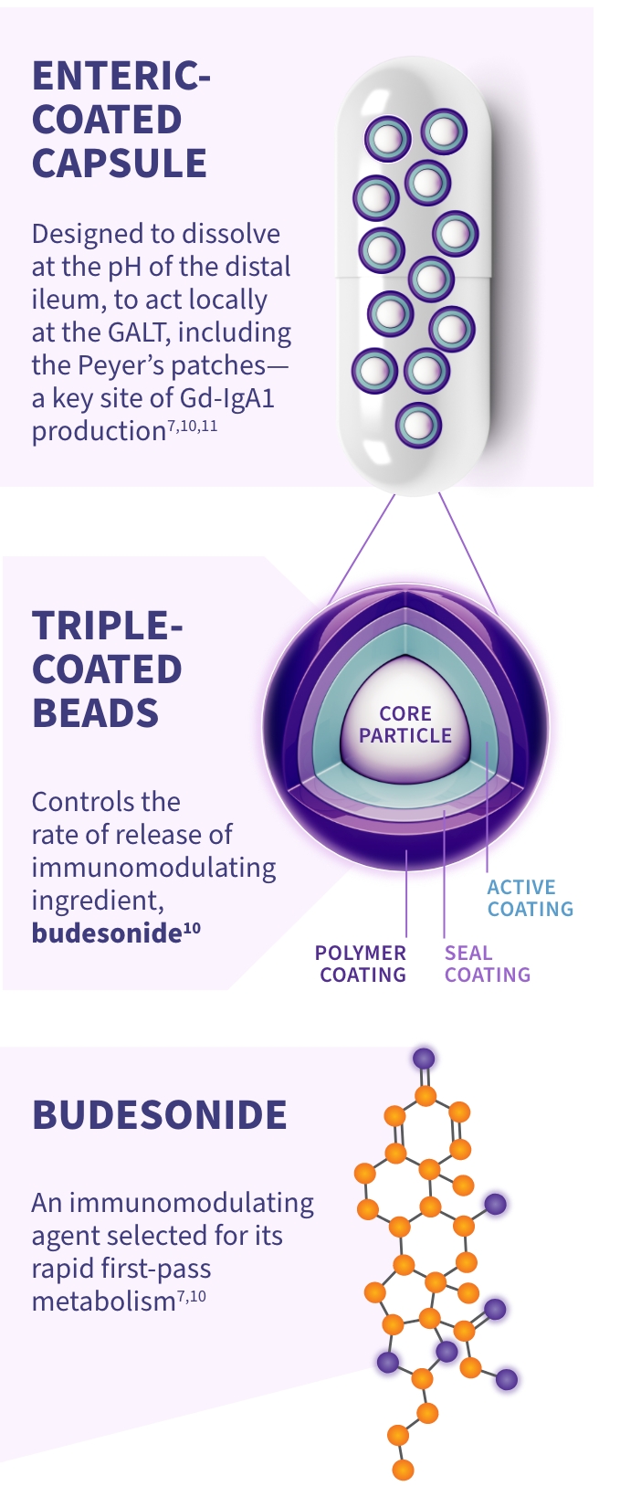 A graphic illustrating the proprietary TARPEYO technology and its components: On the left, it shows the immunomodulating active ingredient, Budesonide, with its molecular structure depicted. In the center, it highlights the triple-coated beads designed to help control the rate of release. On the right, it shows the enteric coat for delayed release, with an illustration of a capsule containing these beads (4 mg per capsule).