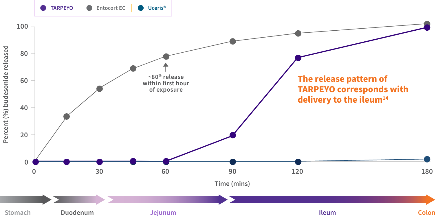 Graph showing dissolution rates of TARPEYO, Entocort, and Uceris over 180 minutes. TARPEYO shows delayed release, reaching ~80% at 180 minutes, compared to faster release in Entocort and Uceris.